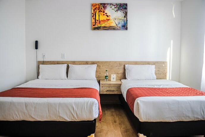 Imagen de la habitación del Hotel Nogal Suite. Foto 18