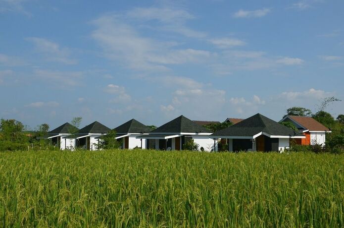 Imagen de la habitación del Hotel Nok Chan Mee Na. Foto 20