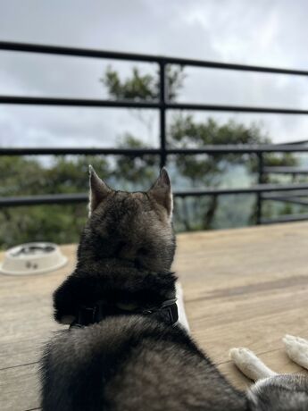 Imagen general del Hotel Nomada Republic El Valle. Foto 2