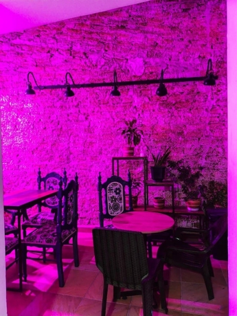 Imagen de la habitación del Hotel Nomadas hostels. Foto 11