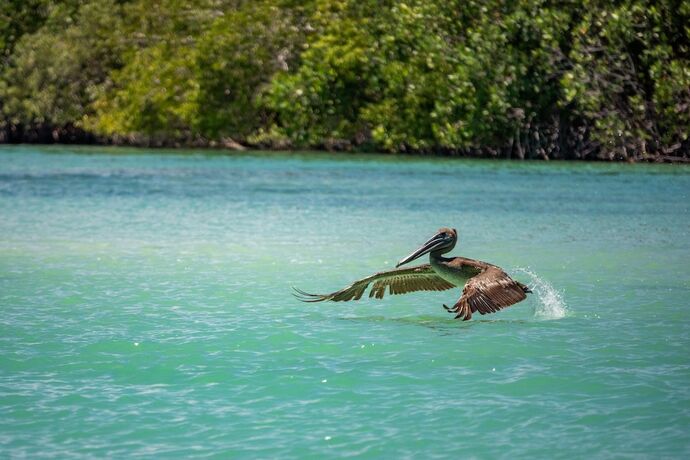 Imagen general del Hotel Nomade Holbox. Foto 4