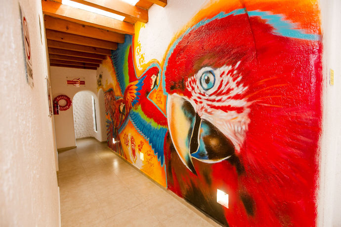 Imagen de los interiores del Hotel Nomads Enigmatic and Restaurant Bar. Foto 13