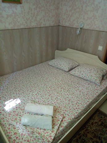 Imagen de la habitación del Hotel Nomera Na Sibirskoy. Foto 2