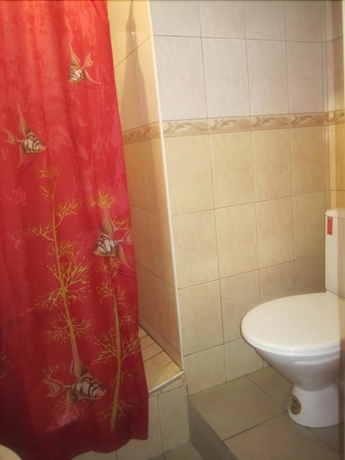 Imagen de la habitación del Hotel Nomera Na Sibirskoy. Foto 13