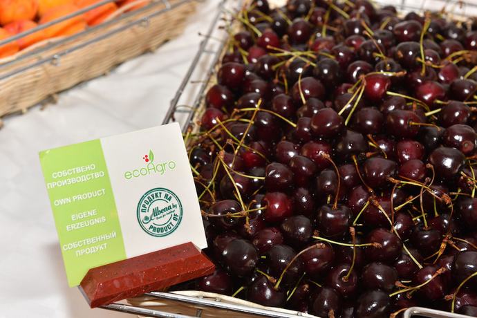 Imagen del bar/restaurante del Hotel Nona. Foto 3