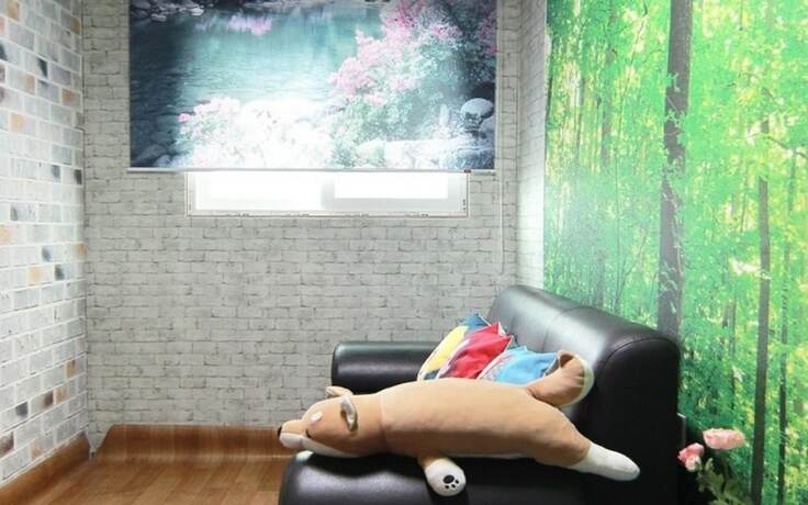 Imagen de la habitación del Hotel Nonsan Gamnamu Pension. Foto 17