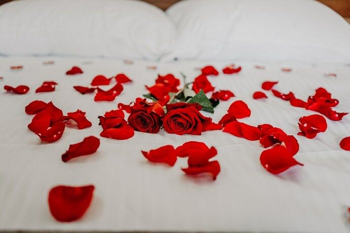 Imagen general del Hotel Noor Konjic. Foto 11