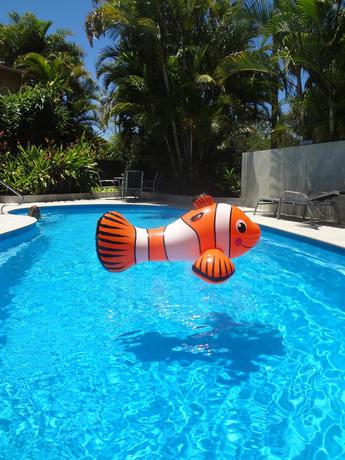 Imagen de la piscina del Hotel Noosa Gardens Riverside Resort. Foto 9