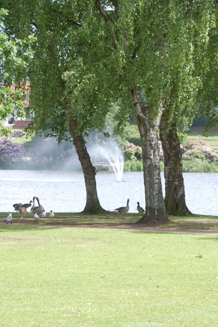 Imagen de los exteriores del Hotel Norden. Foto 8