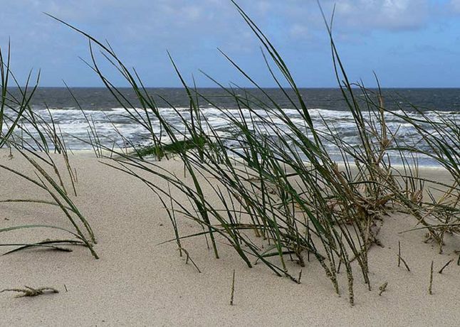 Imagen de los interiores del Hotel Nordsee-hotel Deichgraf. Foto 16