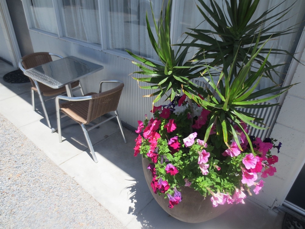 Imagen de los exteriores del Hotel Norfolk Motor Inn. Foto 12