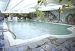Imagen de la piscina del Hotel Norlin. Foto 7