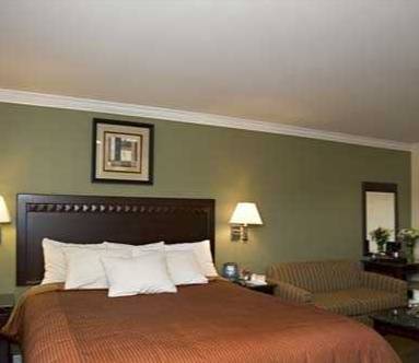 Imagen de la habitación del Hotel North Bay Inn. Foto 6