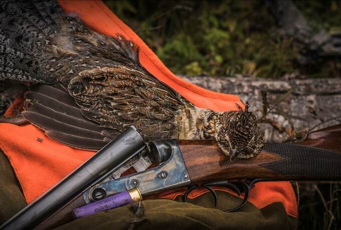 Imagen general del Hotel North Branch Outing Club. Foto 5