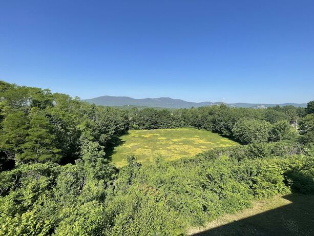 Imagen general del Hotel North Conway Mountain Inn. Foto 10