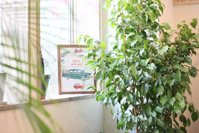 Imagen de los interiores del Hotel North Front Hostel. Foto 19