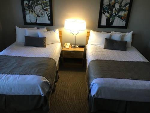 Imagen de la habitación del Hotel North Star Lodge & Resort. Foto 4