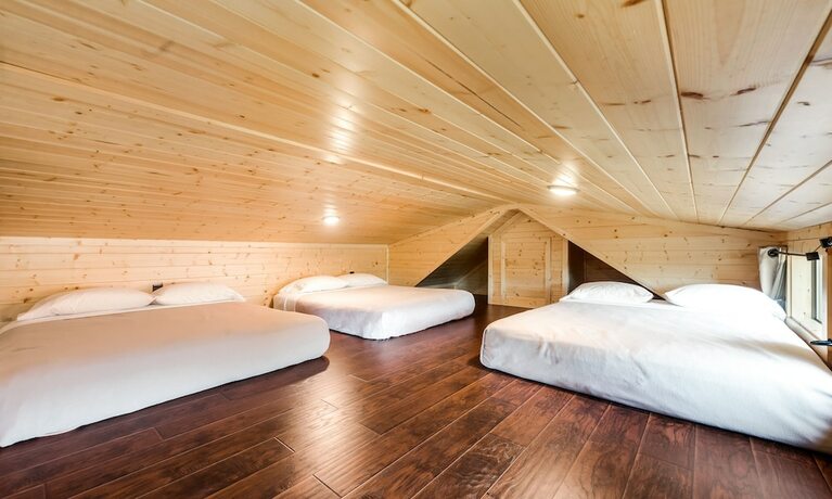 Imagen general del Hotel North Texas Jellystone Park. Foto 10