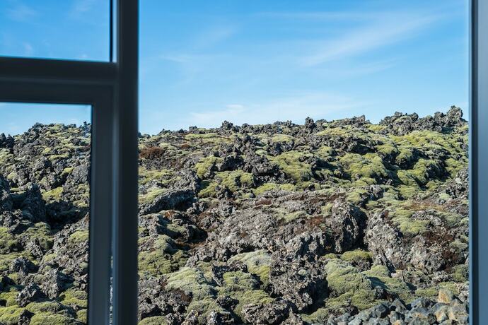 Imagen general del Hotel Northern Light Inn. Foto 11