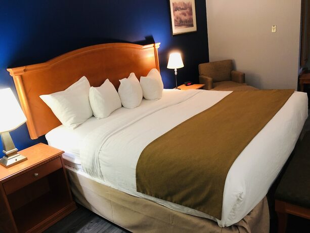 Imagen general del Hotel Northern Star. Foto 15