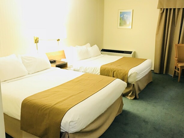 Imagen de la habitación del Hotel Northern Star. Foto 20