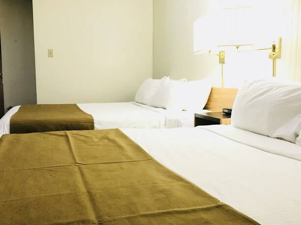 Imagen de la habitación del Hotel Northern Star. Foto 21