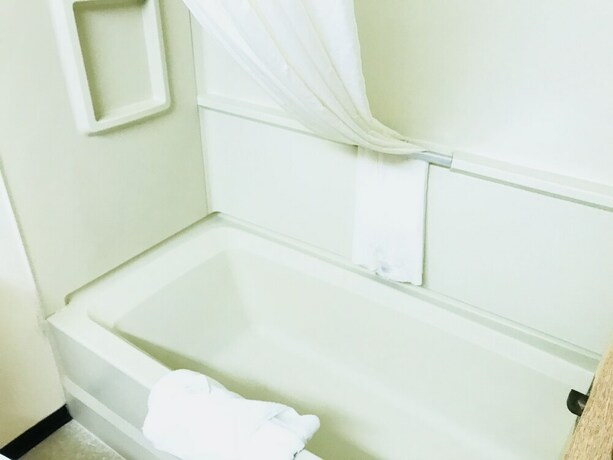 Imagen de la habitación del Hotel Northern Star. Foto 25