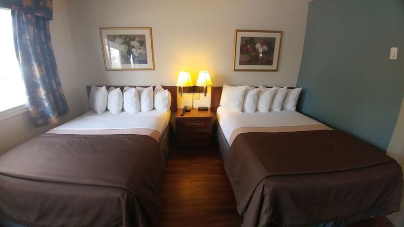 Imagen de la habitación del Hotel Northlander Motel. Foto 15