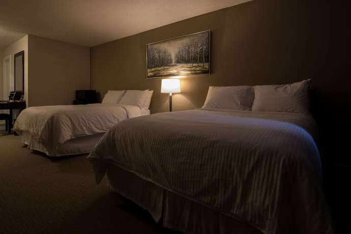 Imagen de la habitación del Hotel Northwood Plaza. Foto 14