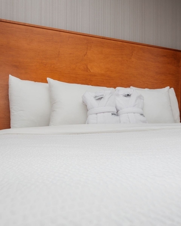 Imagen de la habitación del Hotel Norwood. Foto 10