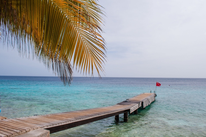 Imagen de los exteriores del Hotel Nos Krusero Apartments. Foto 9