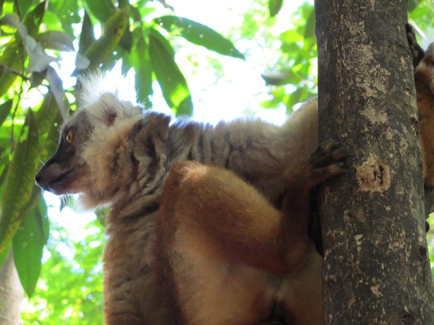 Imagen general del Hotel Nosy Be Concept Boutique and Spa. Foto 2