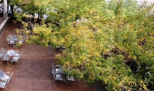 Imagen del bar/restaurante del Hotel Nou - Alcover. Foto 5