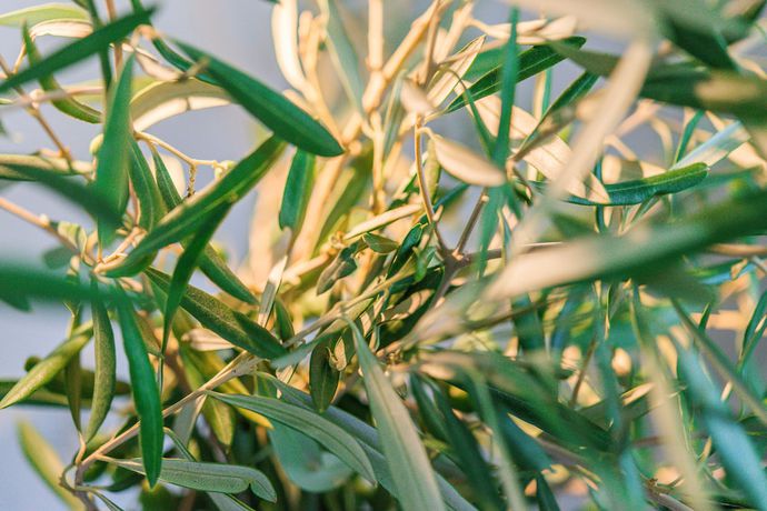 Imagen de la habitación del Hotel Nou Baleares. Foto 16