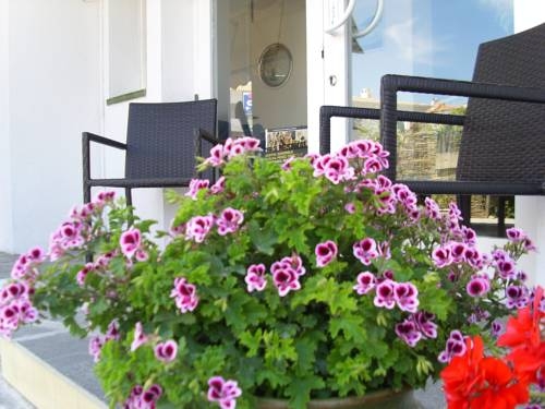 Imagen general del Hotel Nou Estrelles. Foto 6