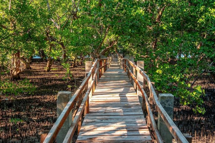 Imagen general del Hotel Nouveau Resort. Foto 9