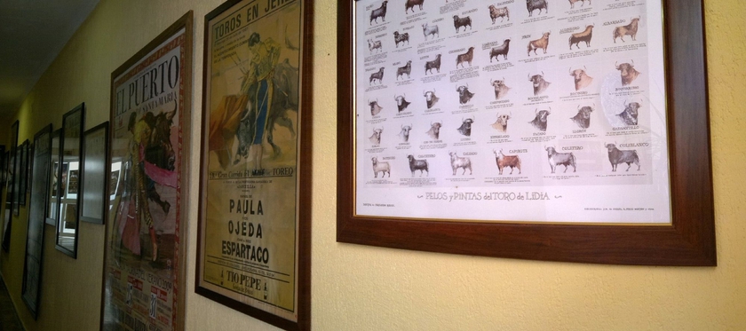 Imagen de los interiores del Hotel Nova Centro. Foto 13