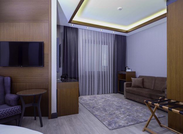 Imagen de la habitación del Hotel Nova Vista Eskisehir Centrum, A Member Of Radisson Individuals. Foto 3