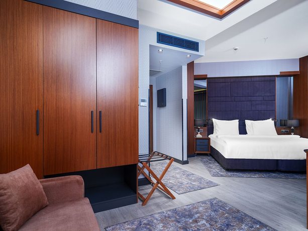 Imagen de la habitación del Hotel Nova Vista Eskisehir Centrum, A Member Of Radisson Individuals. Foto 15