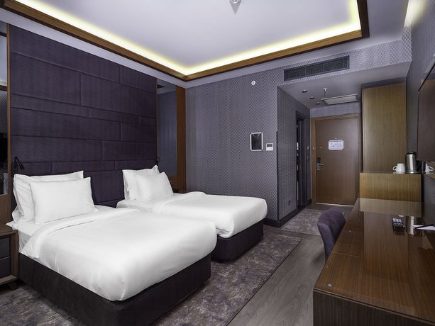 Imagen de la habitación del Hotel Nova Vista Eskisehir Centrum, A Member Of Radisson Individuals. Foto 17