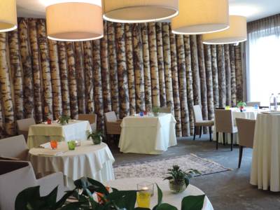 Imagen del bar/restaurante del Hotel Novessentia. Foto 4