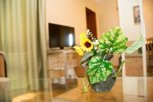 Imagen de la habitación del Hotel Noviz. Foto 9