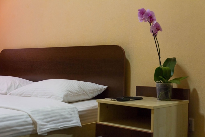 Imagen de la habitación del Hotel Novokosino. Foto 13