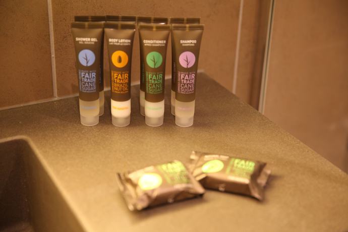 Imagen de la habitación del Hotel Novotel Konya. Foto 7