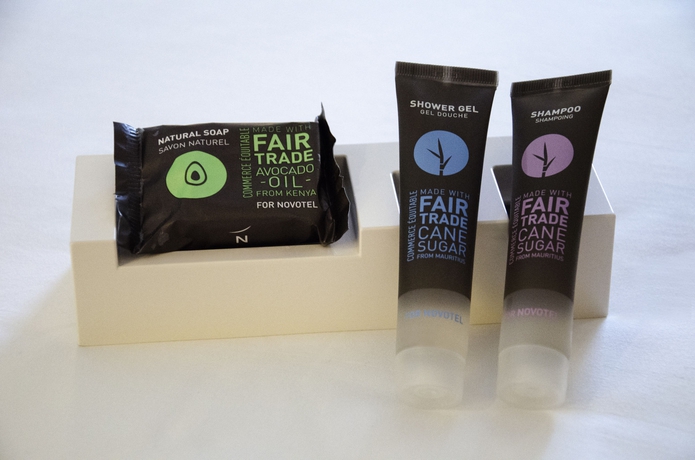 Imagen de la habitación del Hotel Novotel Nancy. Foto 2