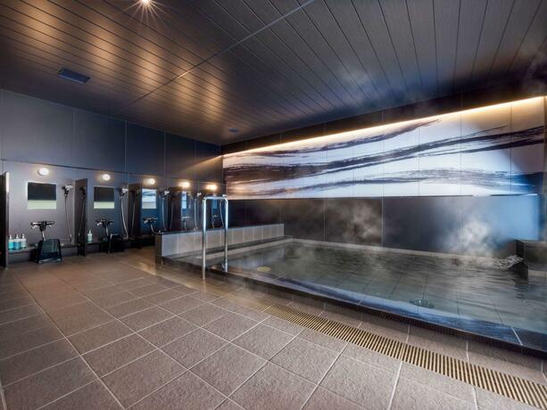 Imagen general del Hotel Novotel Nara. Foto 72