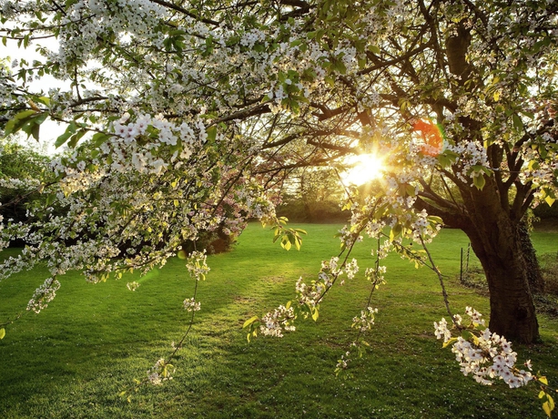 Imagen general del Hotel Novotel Paris Saclay. Foto 5