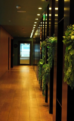 Imagen de los interiores del Hotel Novotel Puerto Montt. Foto 16