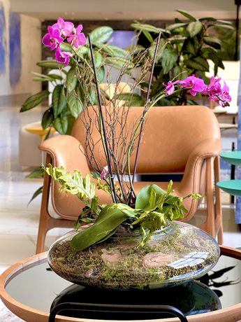 Imagen de los interiores del Hotel Novotel Santa Cruz De La Sierra. Foto 18