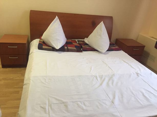 Imagen de la habitación del Hotel Novoyasenevskaya. Foto 5